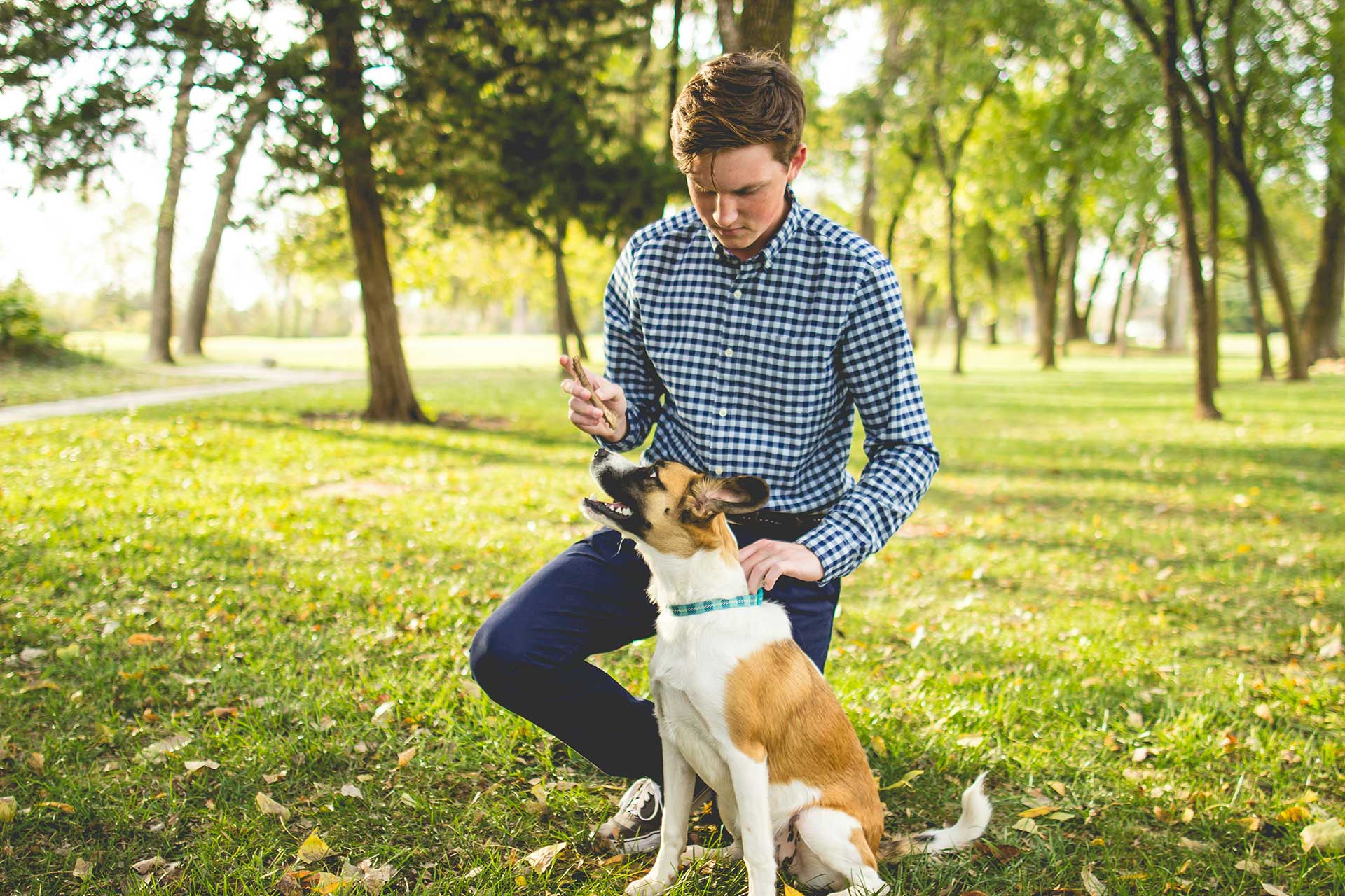 Man Holding Stick in Front of Dog